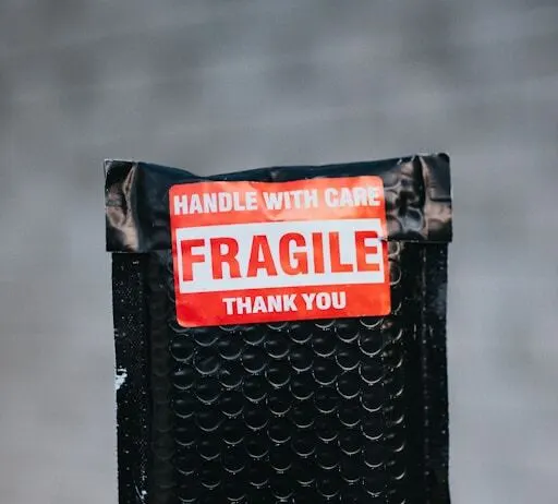 Fragile Packing illustration